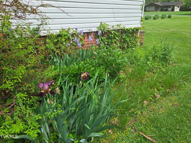 1121 Broad Street, Elizabethton, TN 37643