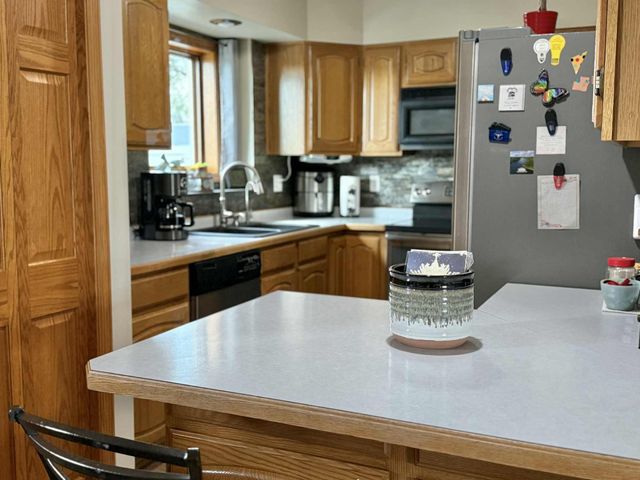 21335 Halstad Lake Road, Detroit Lakes, MN 56501