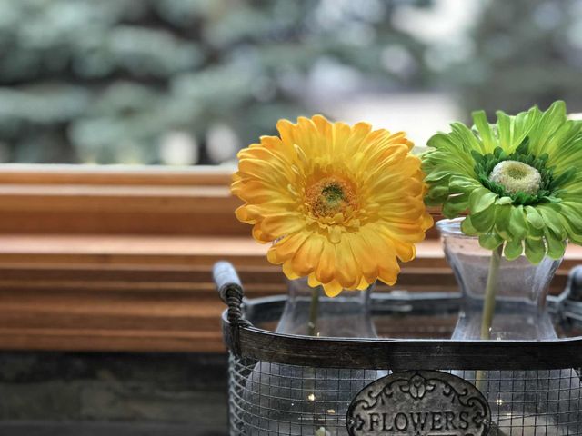 21335 Halstad Lake Road, Detroit Lakes, MN 56501