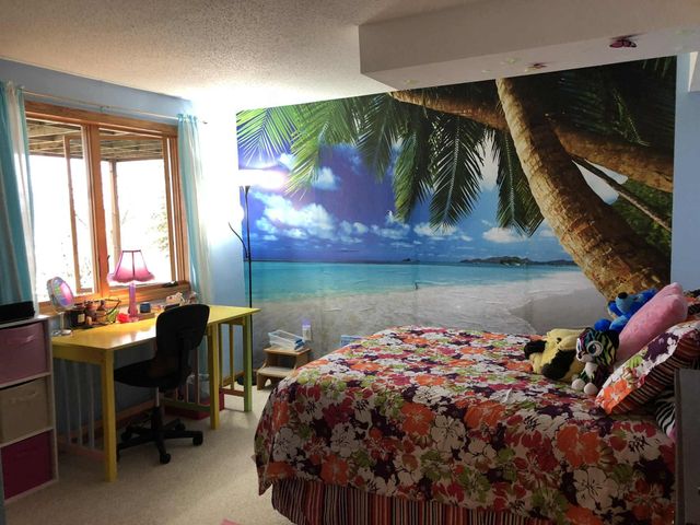 21335 Halstad Lake Road, Detroit Lakes, MN 56501