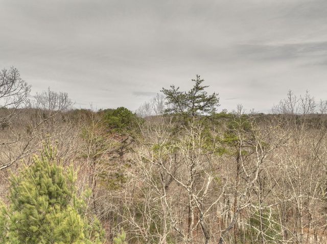 Lt 54-56 Black Gum Ii & Iii, Blue Ridge, GA 30513