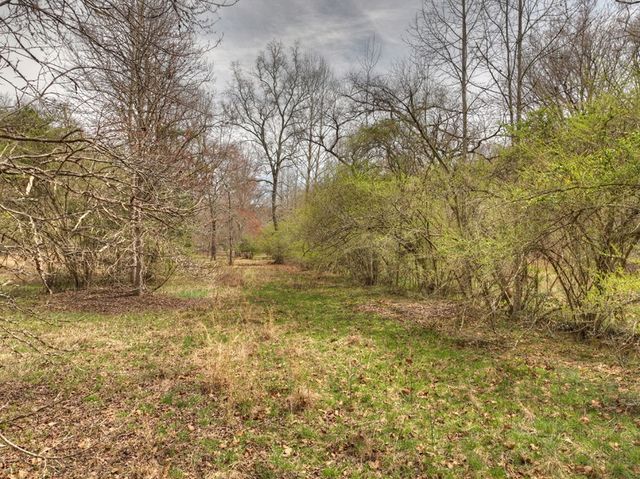 Lt 54-56 Black Gum Ii & Iii, Blue Ridge, GA 30513