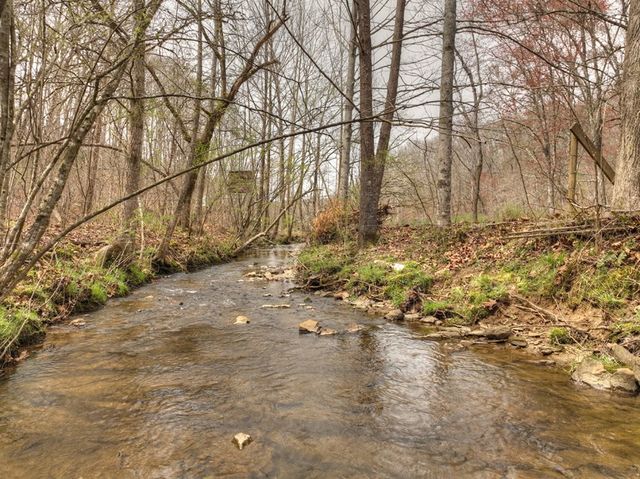 Lt 54-56 Black Gum Ii & Iii, Blue Ridge, GA 30513