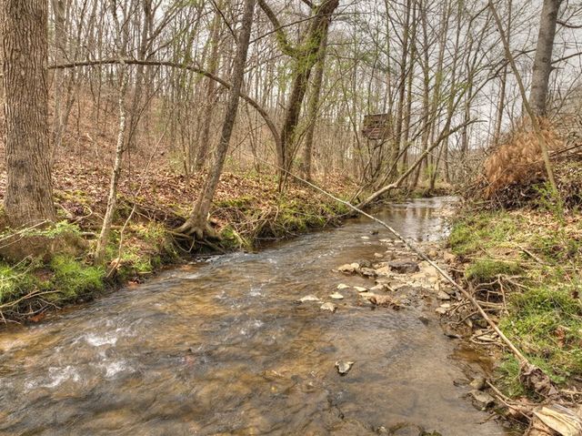 Lt 54-56 Black Gum Ii & Iii, Blue Ridge, GA 30513