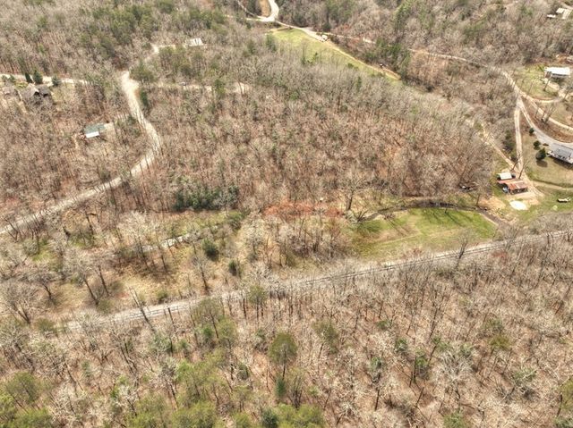 Lt 54-56 Black Gum Ii & Iii, Blue Ridge, GA 30513