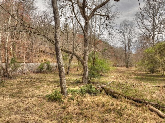 Lt 54-56 Black Gum Ii & Iii, Blue Ridge, GA 30513