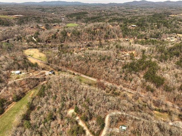 Lt 54-56 Black Gum Ii & Iii, Blue Ridge, GA 30513