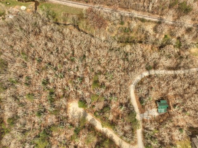 Lt 54-56 Black Gum Ii & Iii, Blue Ridge, GA 30513