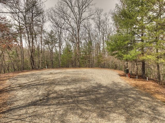 Lt 54-56 Black Gum Ii & Iii, Blue Ridge, GA 30513