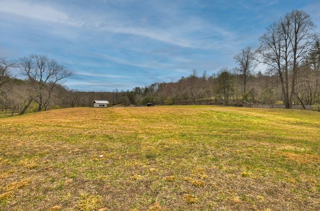 Lt 54-56 Black Gum Ii & Iii, Blue Ridge, GA 30513