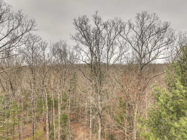 Lt 54-56 Black Gum Ii & Iii, Blue Ridge, GA 30513