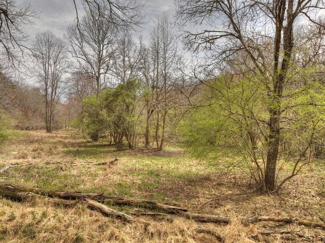 Lt 54-56 Black Gum Ii & Iii, Blue Ridge, GA 30513