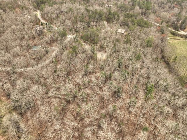 Lt 54-56 Black Gum Ii & Iii, Blue Ridge, GA 30513