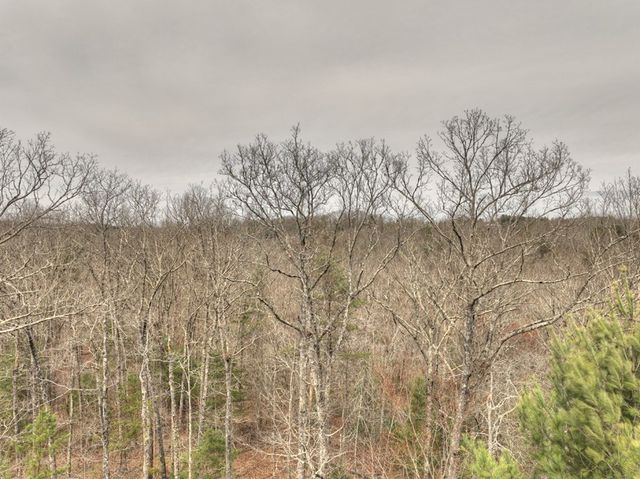 Lt 54-56 Black Gum Ii & Iii, Blue Ridge, GA 30513