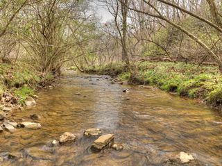 Lt 54-56 Black Gum Ii & Iii, Blue Ridge, GA 30513