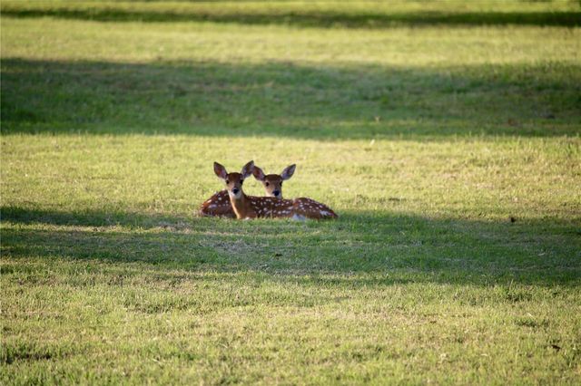 13221 N BRANCH ROAD, Sarasota, FL 34240