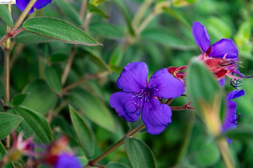 Image 72 of property listing at 5705 Panama Ave, Richmond, CA 94804