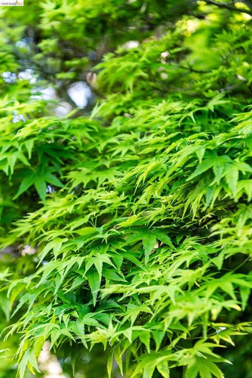 Image 85 of property listing at 5705 Panama Ave, Richmond, CA 94804