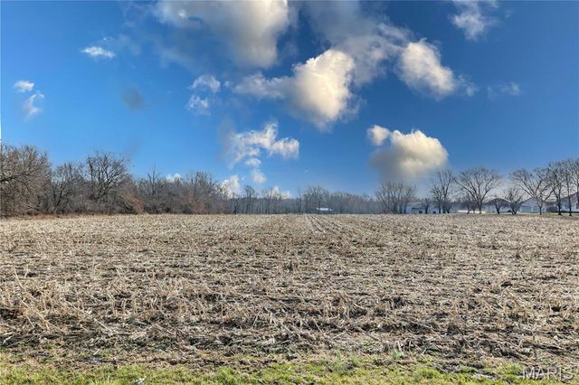 11086 Old Litchfield Trail, Litchfield, IL 62056