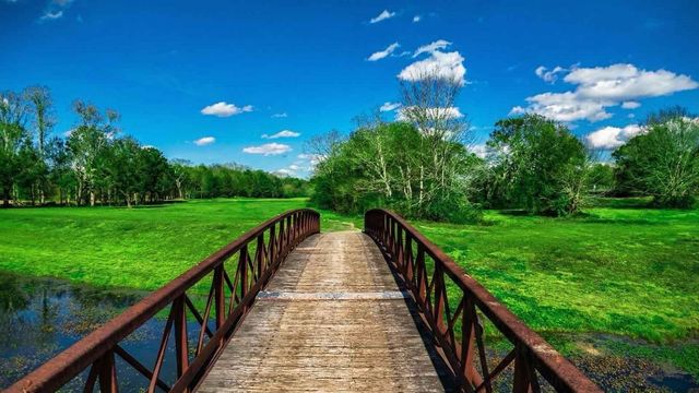 2433 Barton Creek Trail Drive, Friendswood, TX 77546