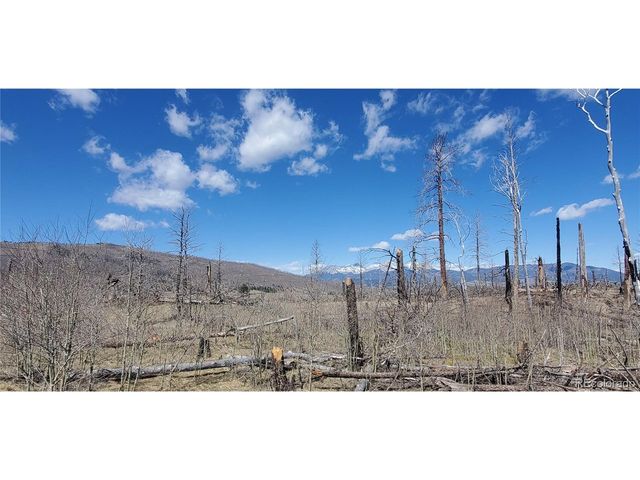 1228 Granville Loop, Fort Garland, CO 81133