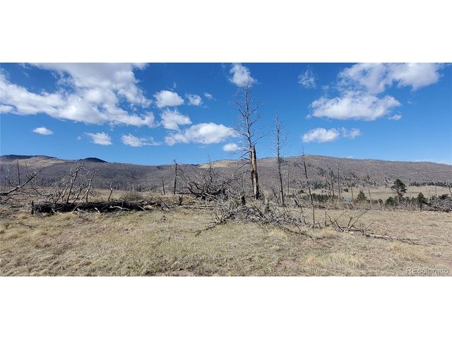 1228 Granville Loop, Fort Garland, CO 81133