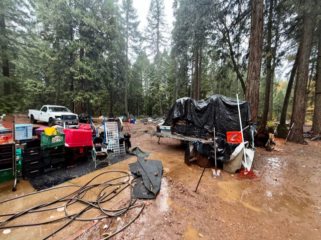 33368 Geta Way, Shingletown, CA 96088