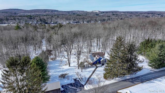 58 Wildwood Drive, South Fallsburg, NY 12779