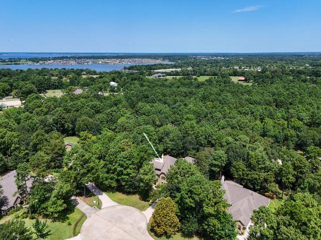 11306 Longmire Creek Court, Conroe, TX 77304