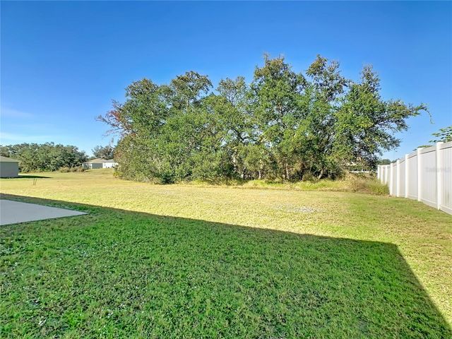 313 DRUM LANE, Kissimmee, FL 34759