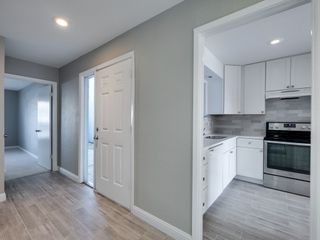 12554 Burninglog Lane, Dallas, TX 75243