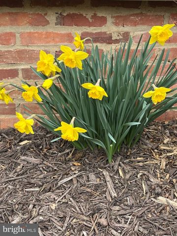 2790 SPOUT LN, Lusby, MD 20657