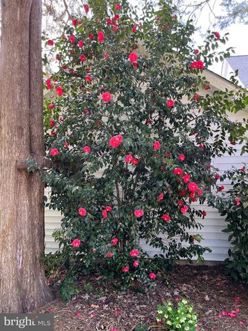 2790 SPOUT LN, Lusby, MD 20657