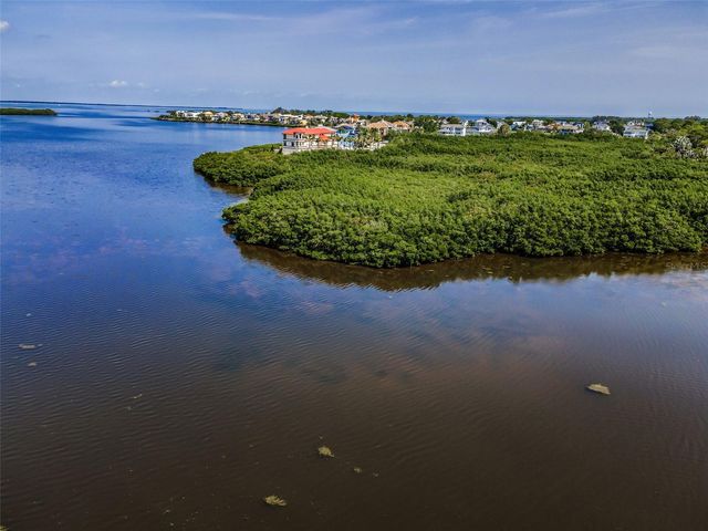 1620 SEA BREEZE DRIVE, Tarpon Springs, FL 34689