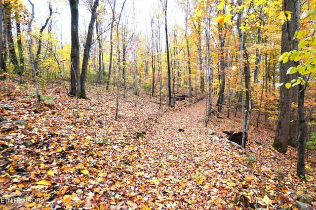 3860 Collier Loop, Dandridge, TN 37725