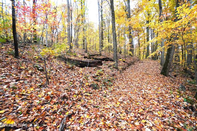 3860 Collier Loop, Dandridge, TN 37725