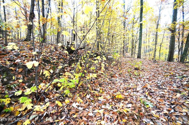 3860 Collier Loop, Dandridge, TN 37725