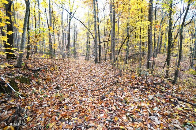 3860 Collier Loop, Dandridge, TN 37725