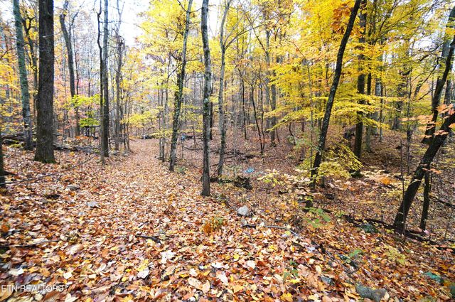 3860 Collier Loop, Dandridge, TN 37725