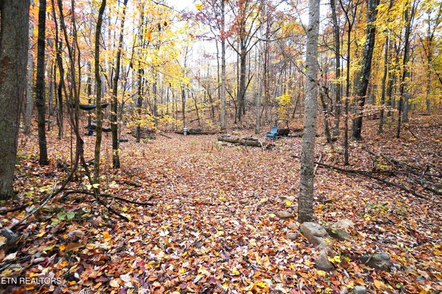 3860 Collier Loop, Dandridge, TN 37725