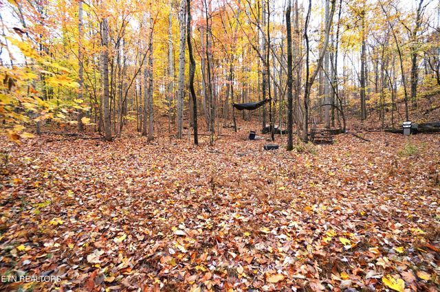 3860 Collier Loop, Dandridge, TN 37725