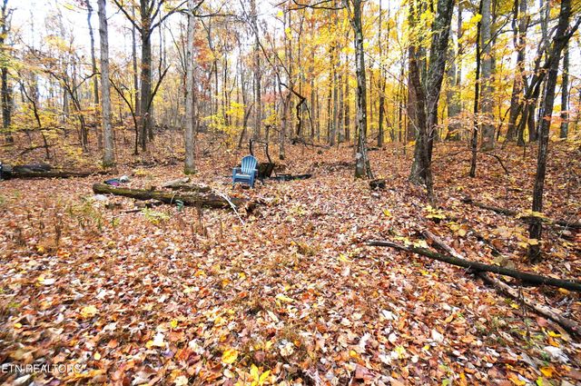 3860 Collier Loop, Dandridge, TN 37725