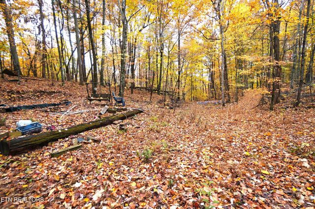 3860 Collier Loop, Dandridge, TN 37725