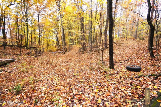 3860 Collier Loop, Dandridge, TN 37725