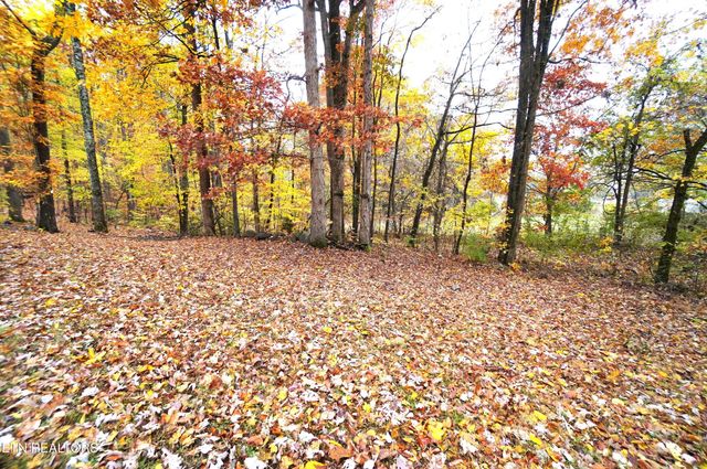 3860 Collier Loop, Dandridge, TN 37725