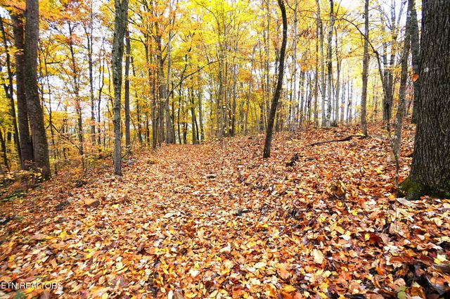 3860 Collier Loop, Dandridge, TN 37725