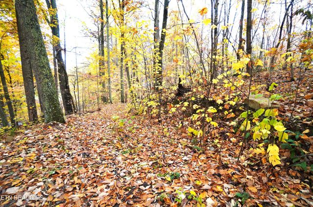 3860 Collier Loop, Dandridge, TN 37725