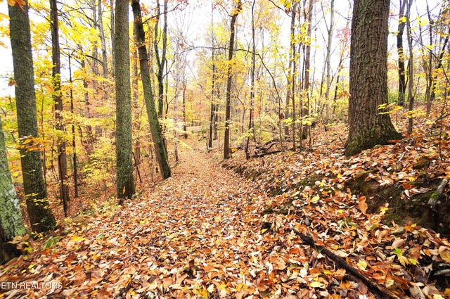 3860 Collier Loop, Dandridge, TN 37725