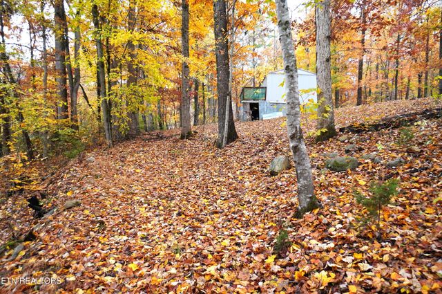 3860 Collier Loop, Dandridge, TN 37725