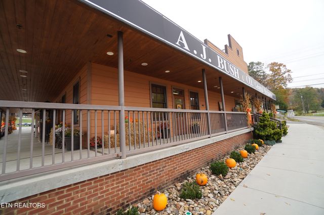 3860 Collier Loop, Dandridge, TN 37725